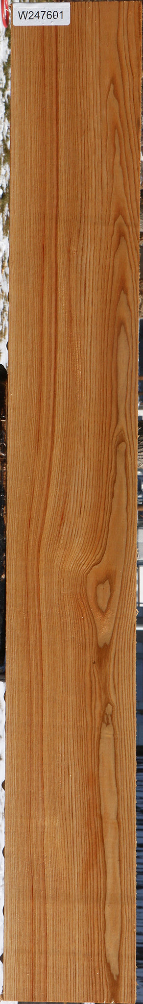 Kentucky Coffeetree Lumber