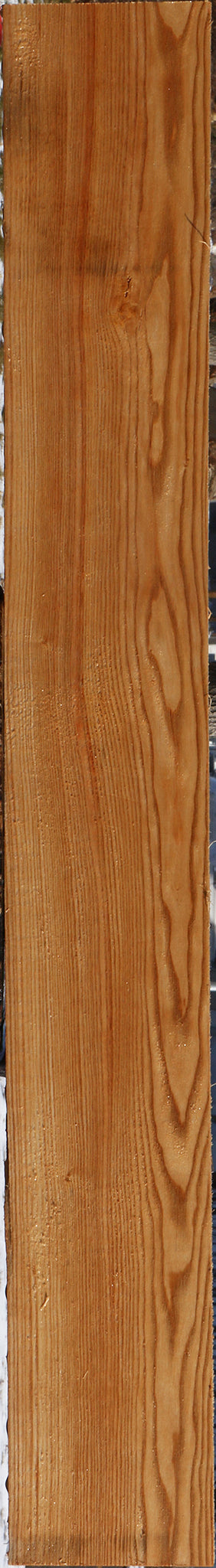 Kentucky Coffeetree Lumber