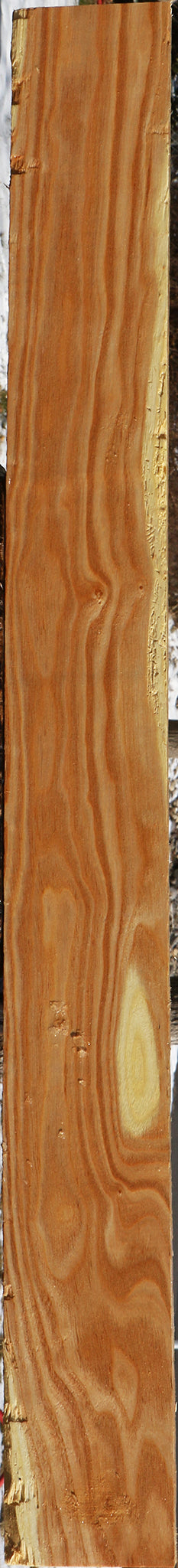 Kentucky Coffeetree Lumber