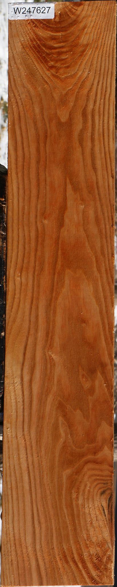 Kentucky Coffeetree Lumber