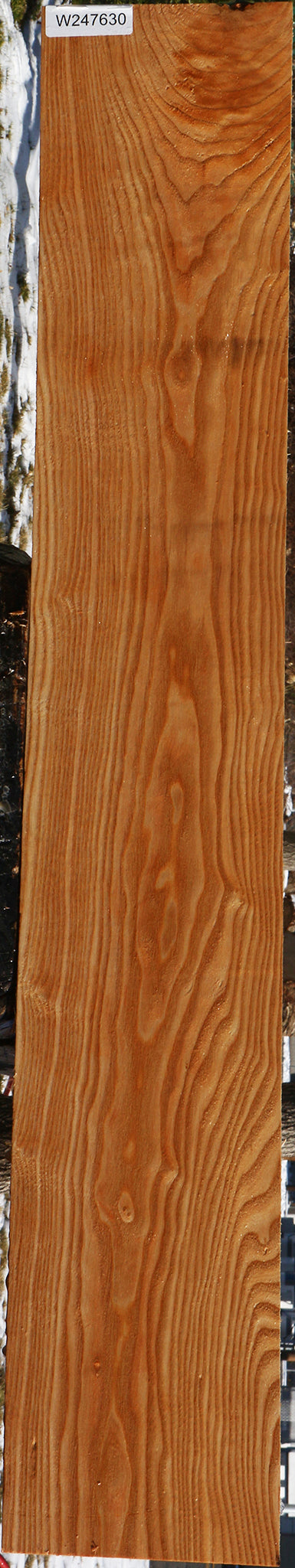 Kentucky Coffeetree Lumber