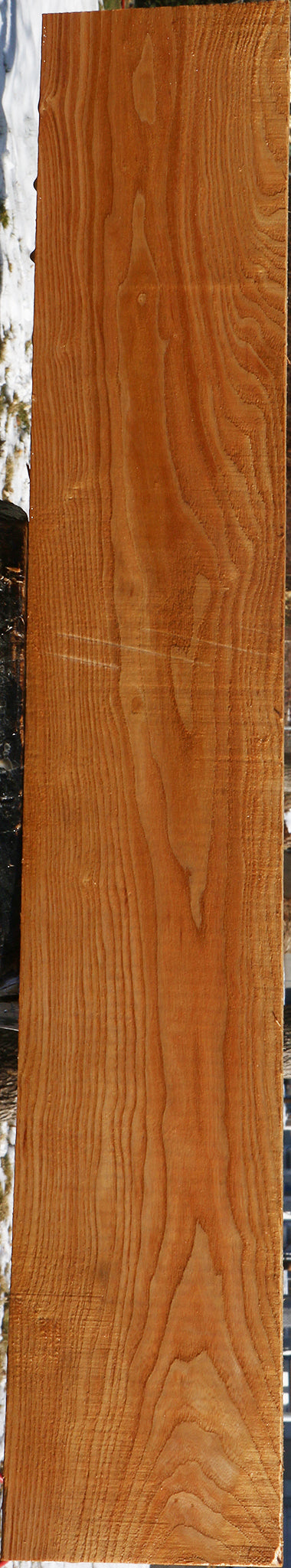Kentucky Coffeetree Lumber