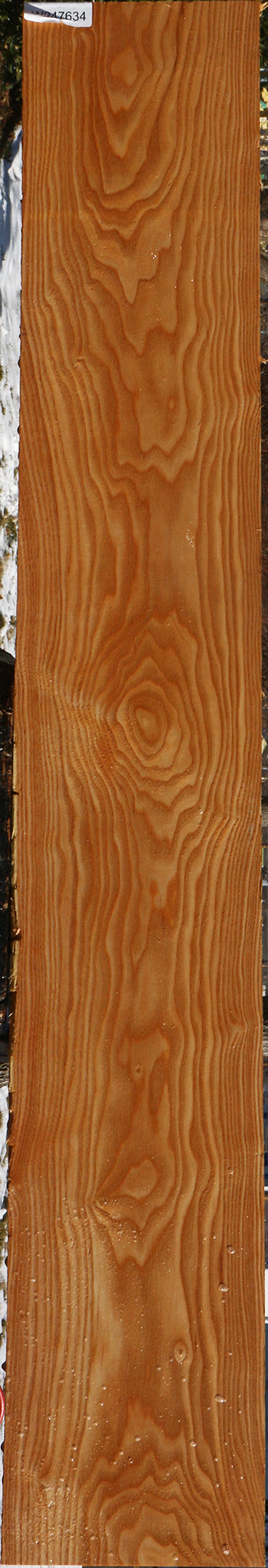 Kentucky Coffeetree Lumber