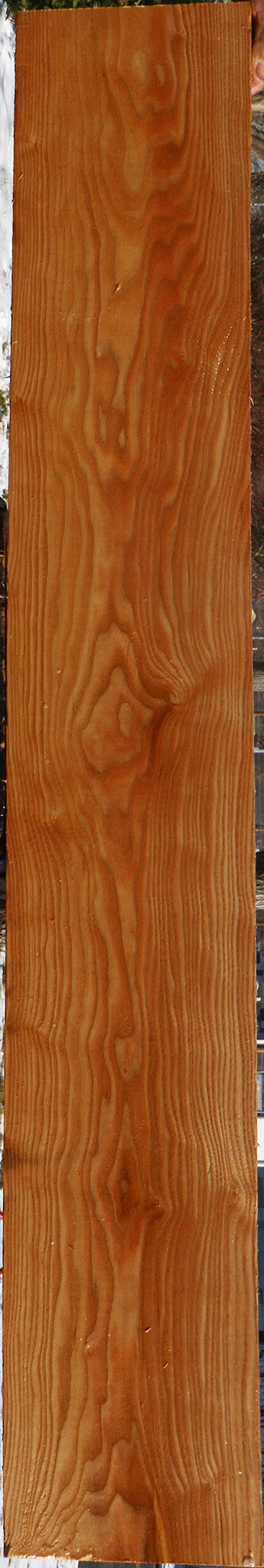 Kentucky Coffeetree Lumber
