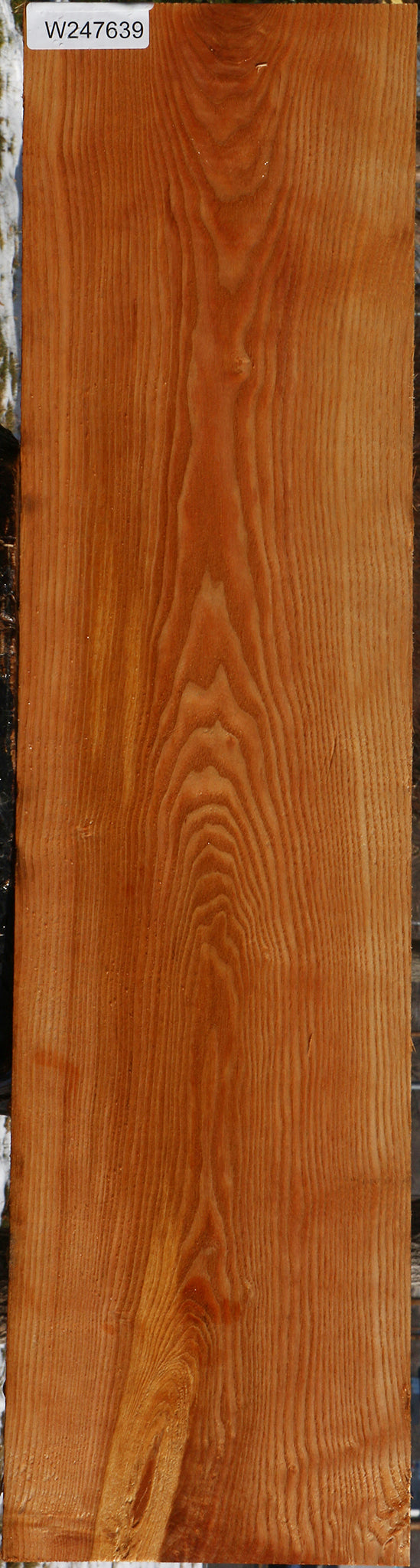 Kentucky Coffeetree Lumber