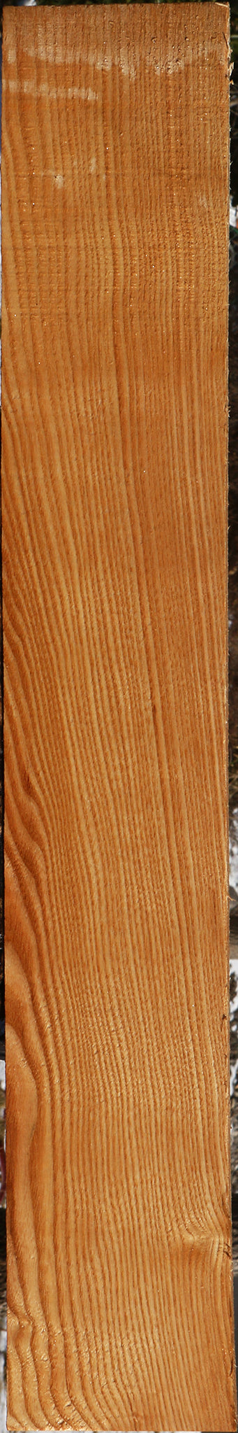 Kentucky Coffeetree Lumber