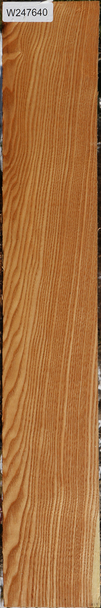 Kentucky Coffeetree Lumber