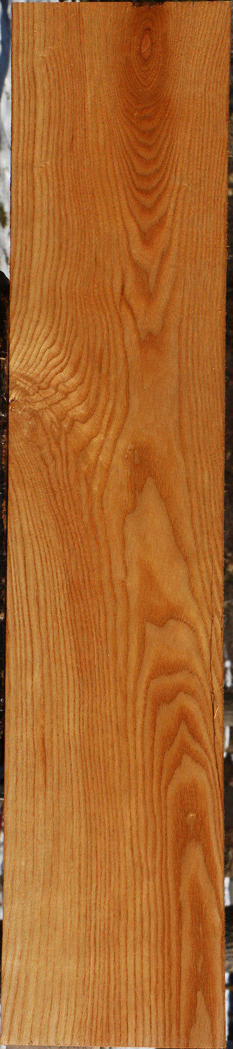 Kentucky Coffeetree Lumber