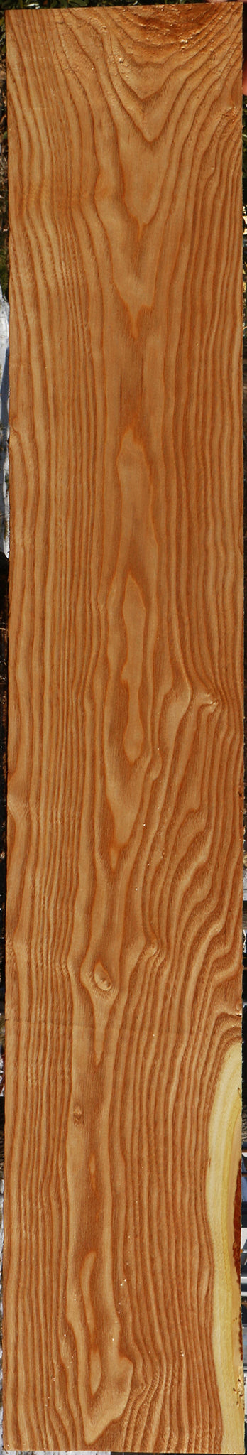 Kentucky Coffeetree Lumber