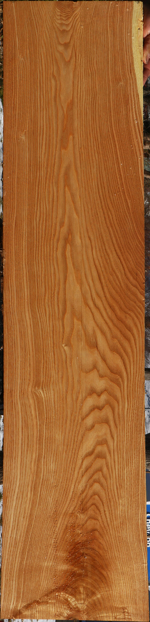 Kentucky Coffeetree Lumber