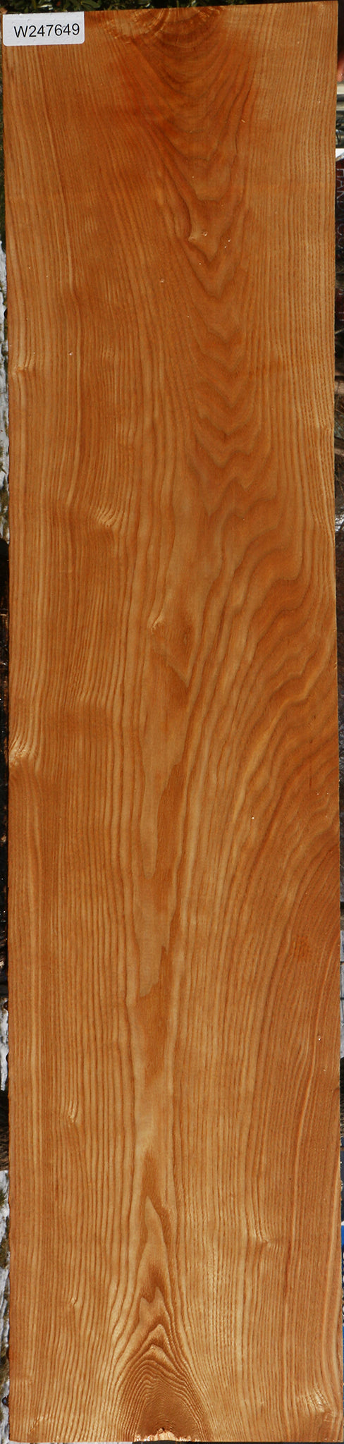 Kentucky Coffeetree Lumber