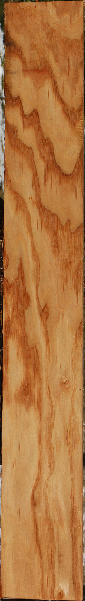 Kentucky Coffeetree Lumber