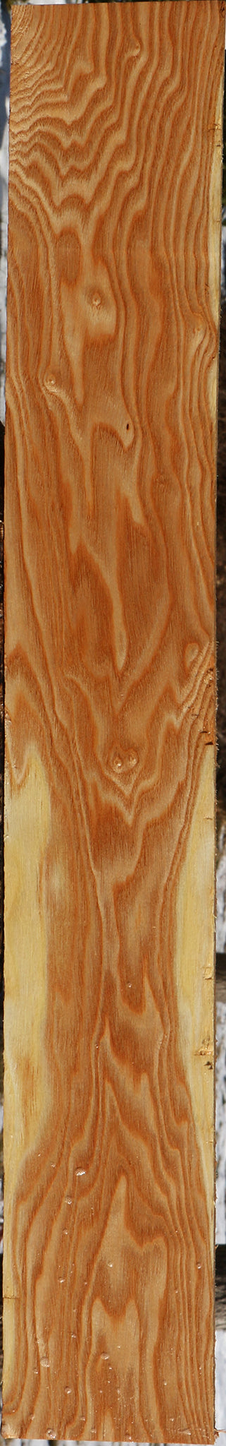 Kentucky Coffeetree Lumber