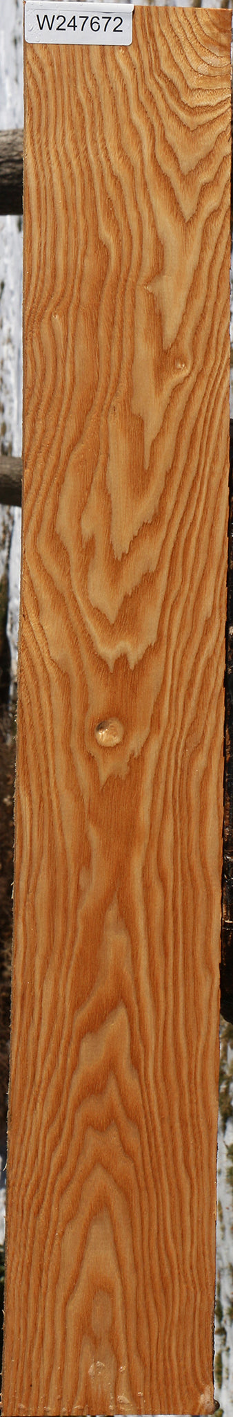 Kentucky Coffeetree Lumber