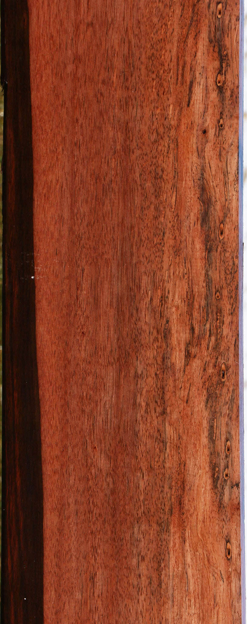 Amara Ebony Lumber