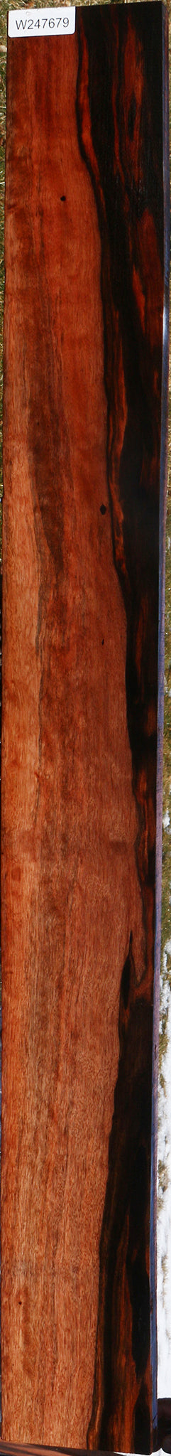 Figured Amara Ebony Lumber