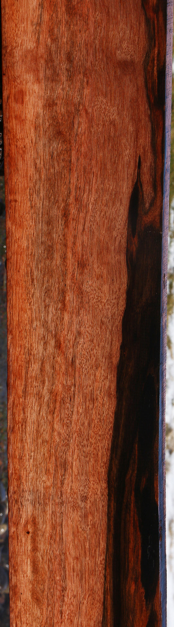 Figured Amara Ebony Lumber