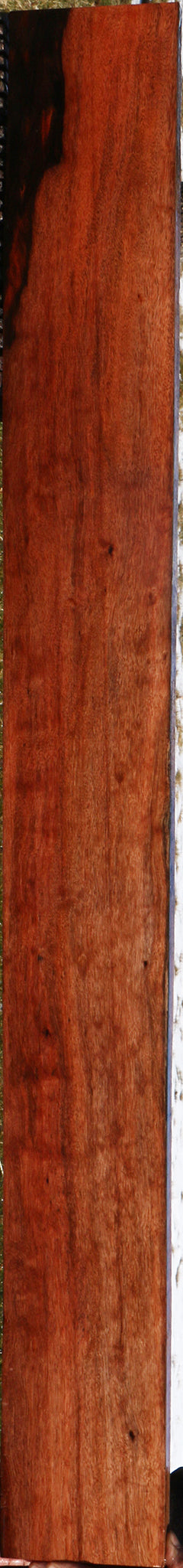 Figured Amara Ebony Lumber