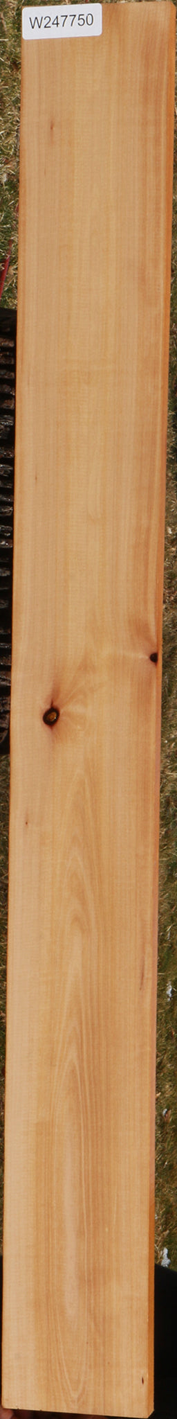 Madrone Lumber