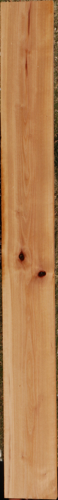 Madrone Lumber