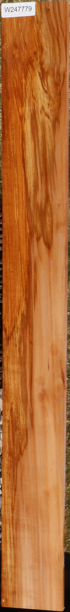 Madrone Lumber