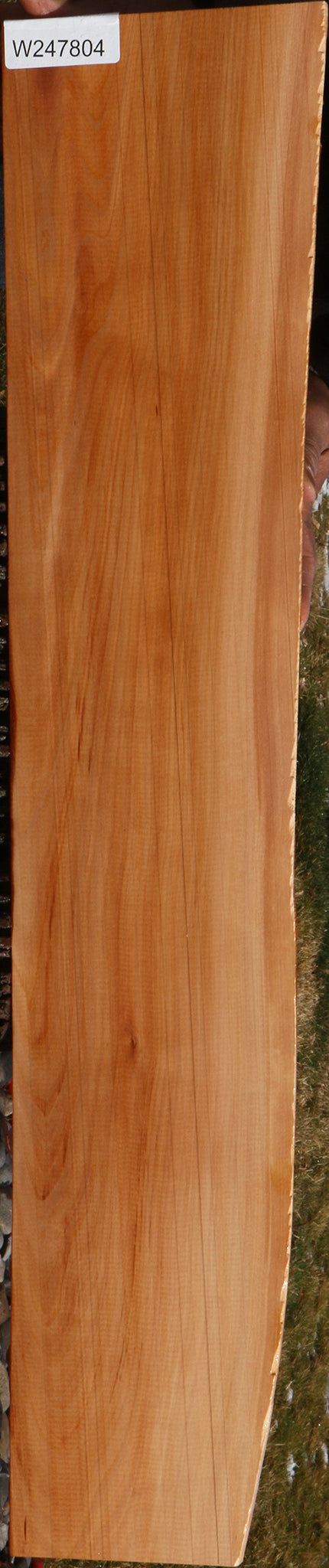 Madrone Live Edge Lumber