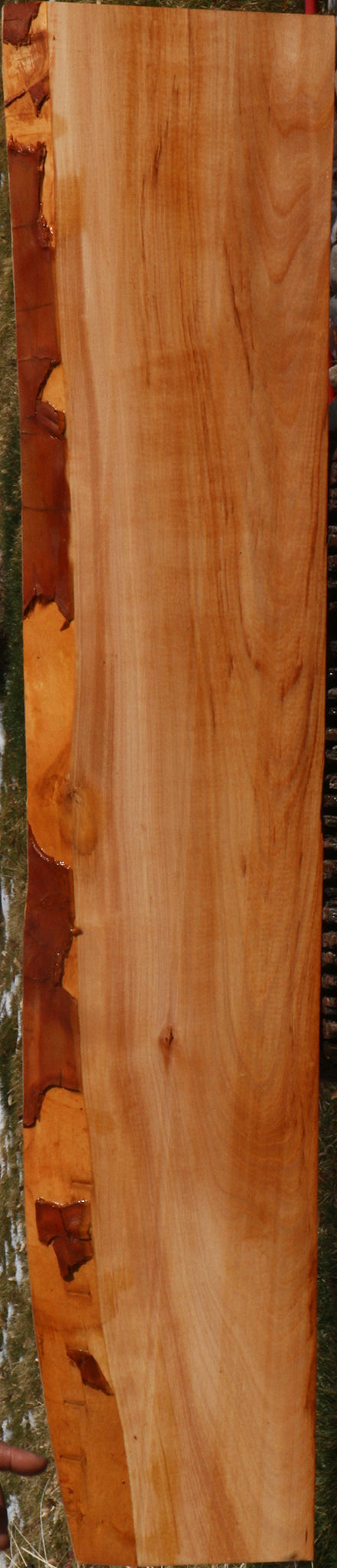 Madrone Live Edge Lumber