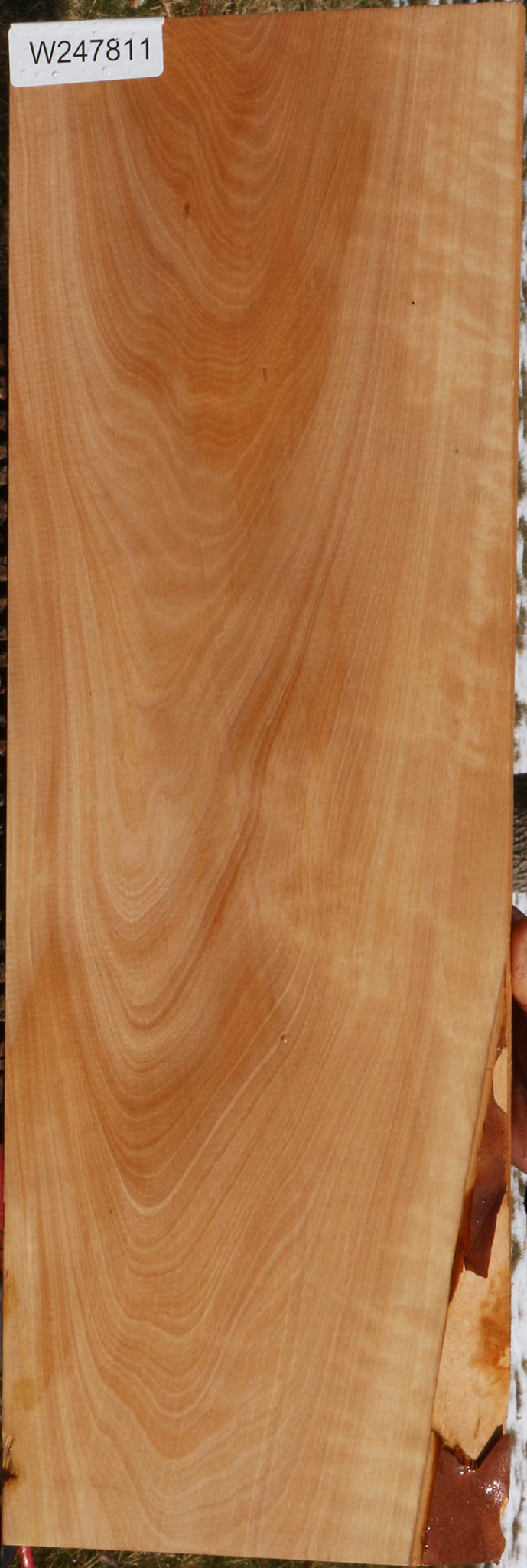 Madrone Lumber