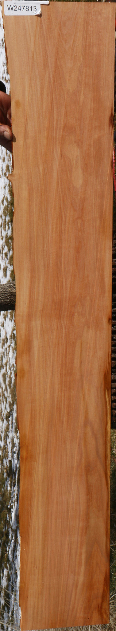 Madrone Live Edge Lumber