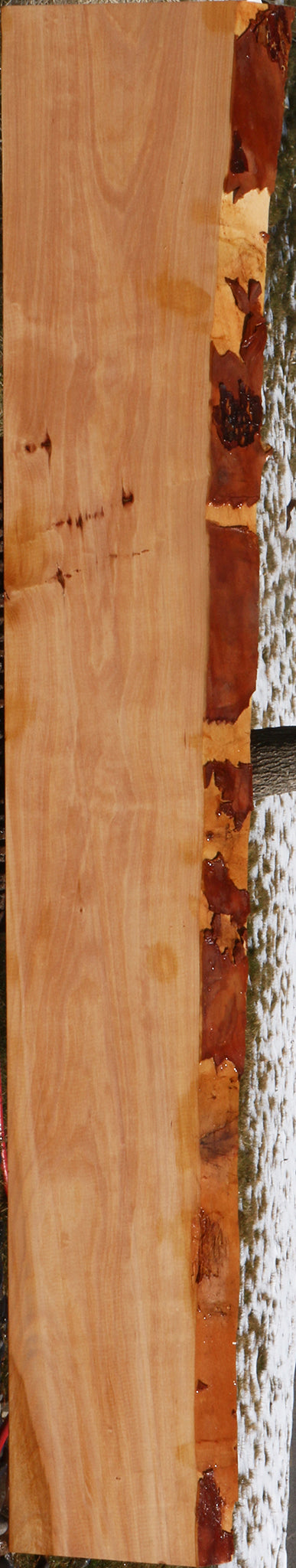 Madrone Live Edge Lumber