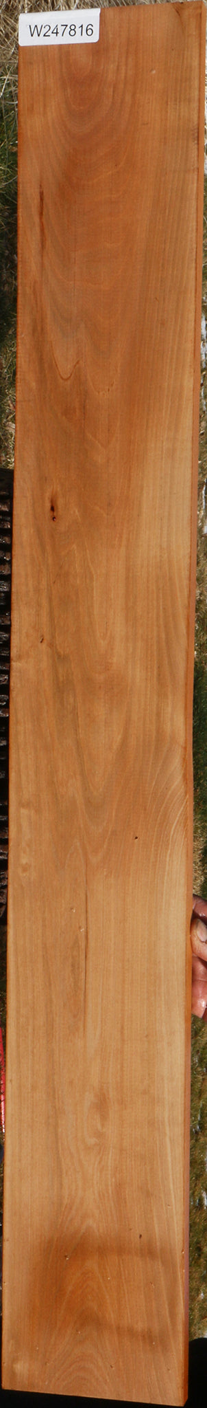 Madrone Lumber