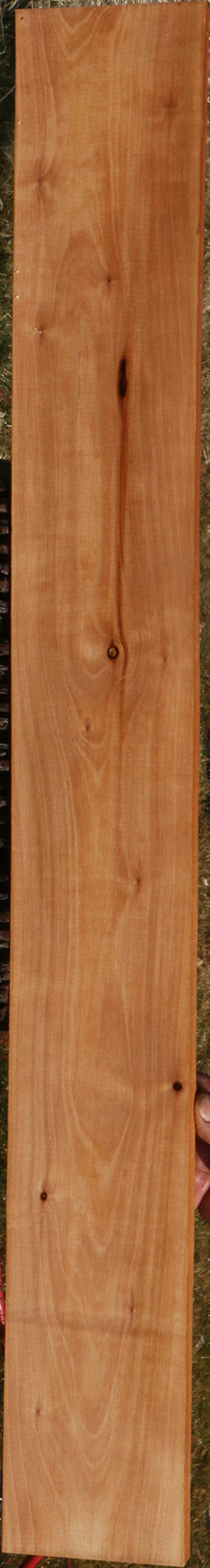 Madrone Lumber