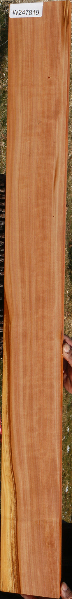 Madrone Lumber