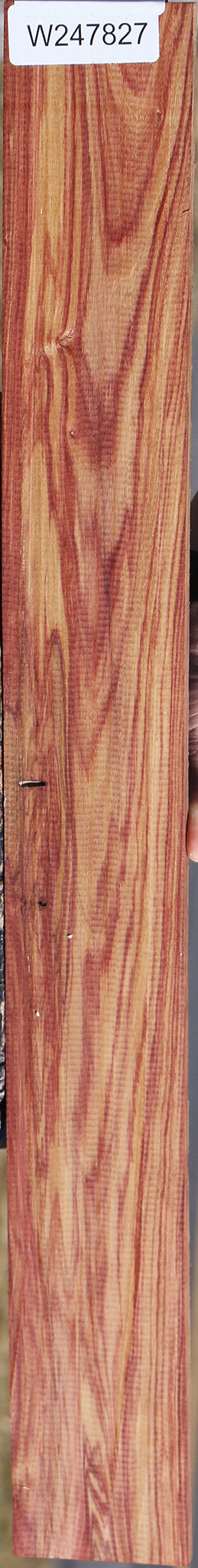 Tulipwood Micro Lumber