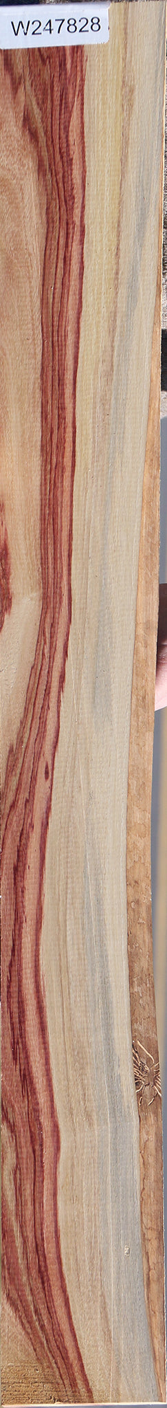 Tulipwood Lumber