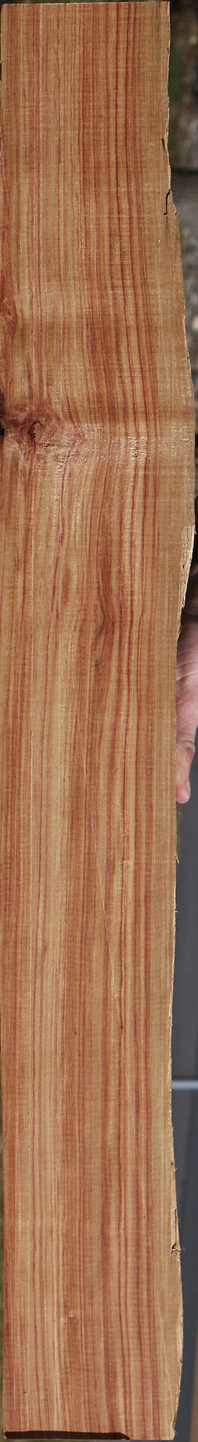 Fiddleback Tulipwood Micro Lumber
