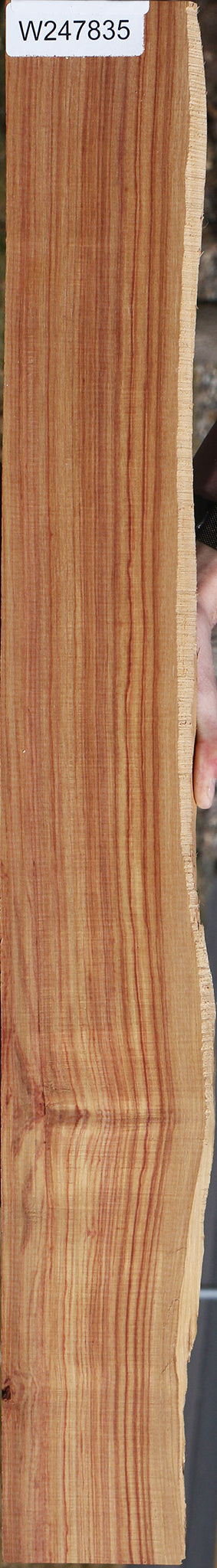 Fiddleback Tulipwood Micro Lumber