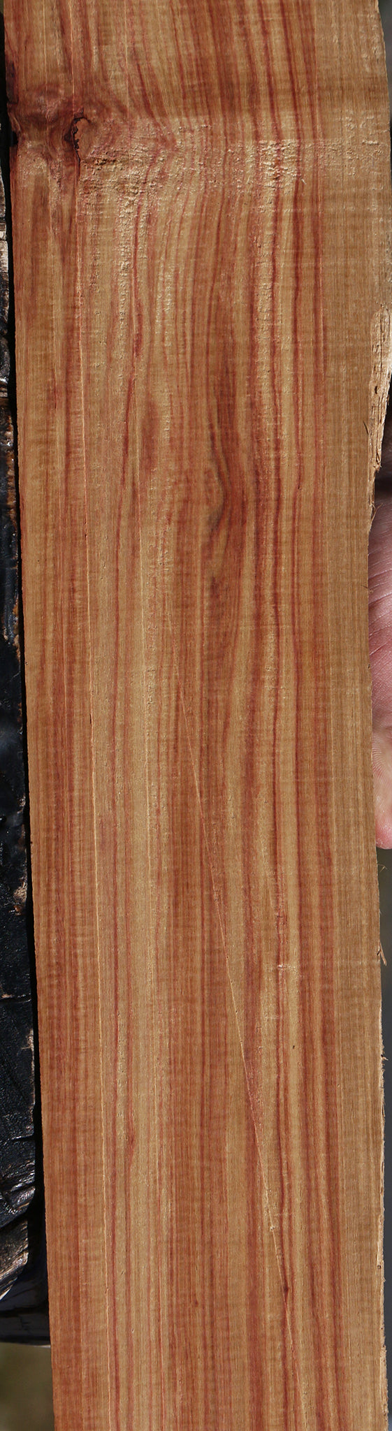 Fiddleback Tulipwood Micro Lumber