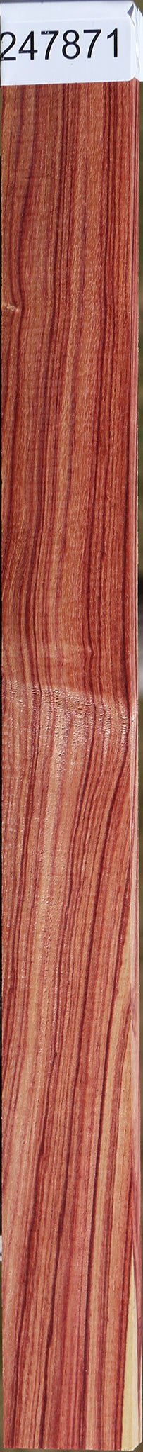 Tulipwood Micro Lumber