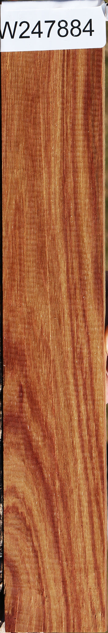 Tulipwood Micro Lumber