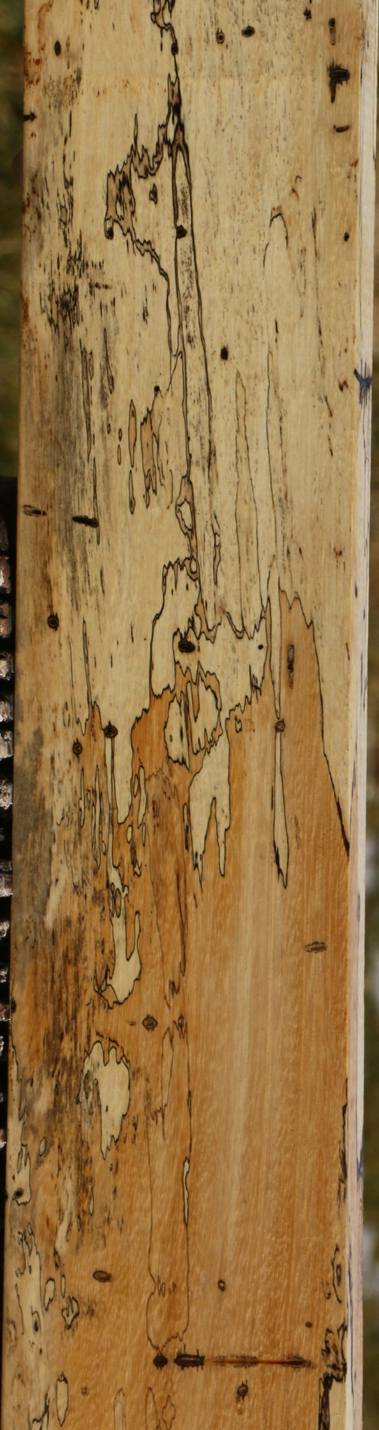 Figured Spalted Tamarind Lumber