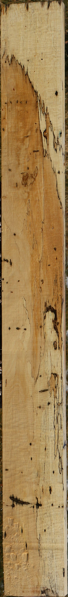 Figured Spalted Tamarind Lumber