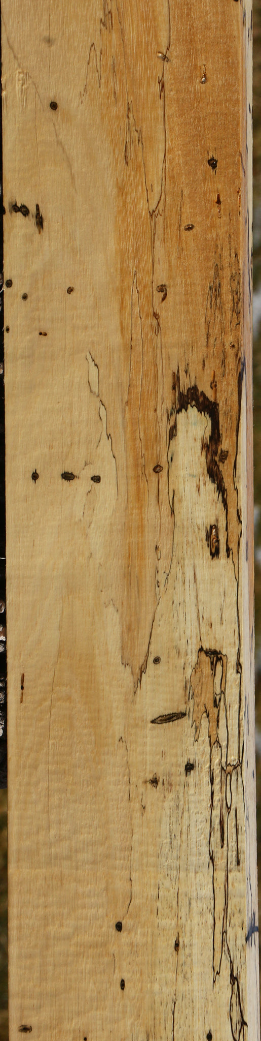 Figured Spalted Tamarind Lumber