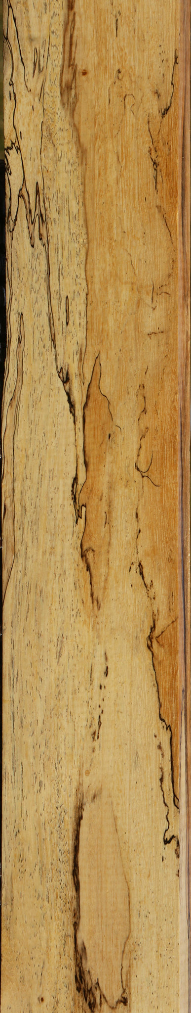 Figured Spalted Tamarind Lumber