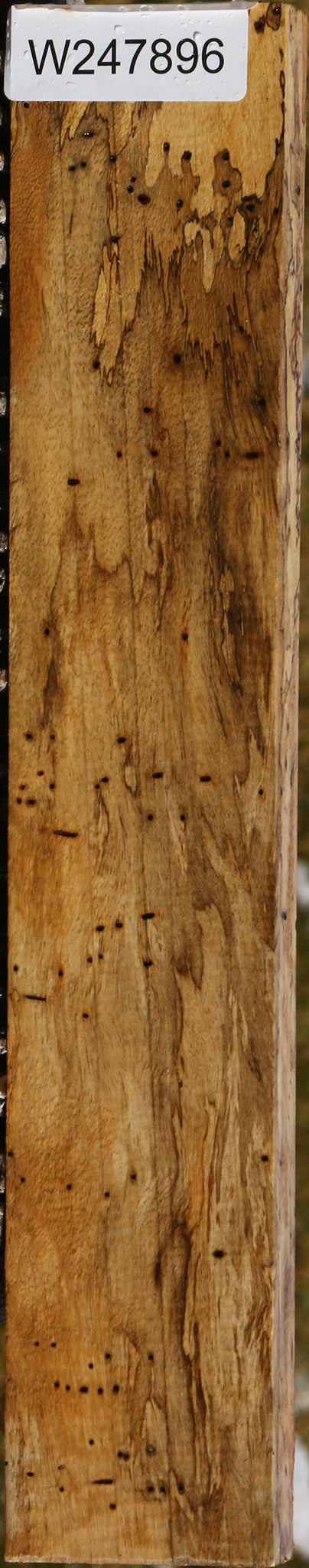 Extra Fancy Spalted Tamarind Lumber