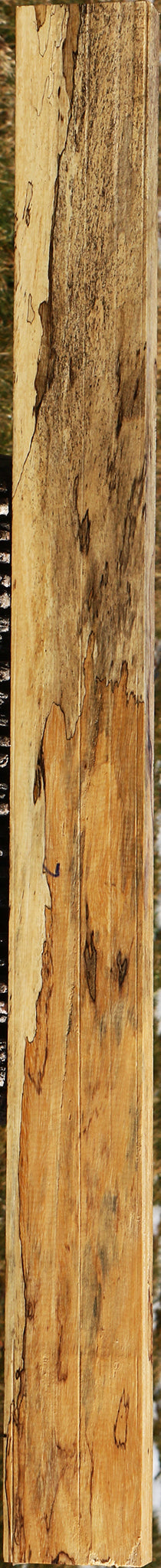Figured Spalted Tamarind Lumber
