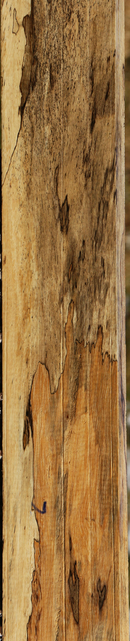 Figured Spalted Tamarind Lumber