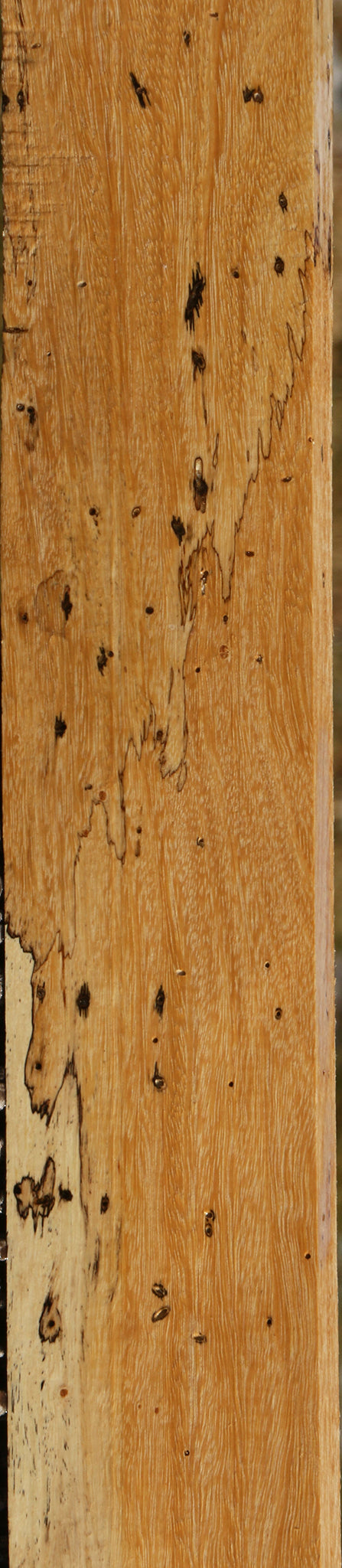 Figured Spalted Tamarind Lumber