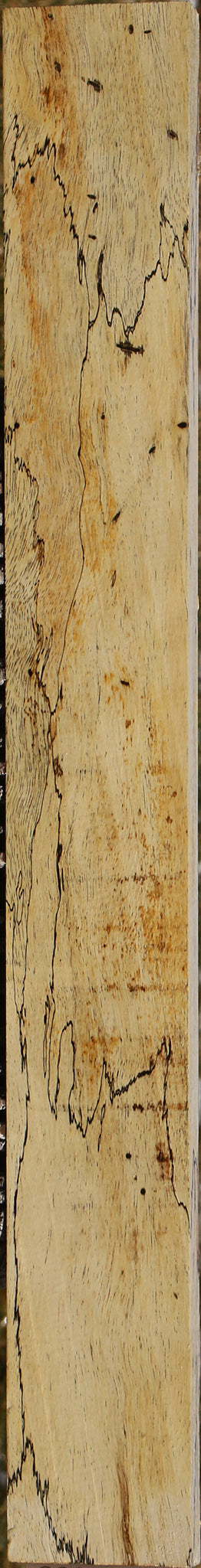 Figured Spalted Tamarind Lumber