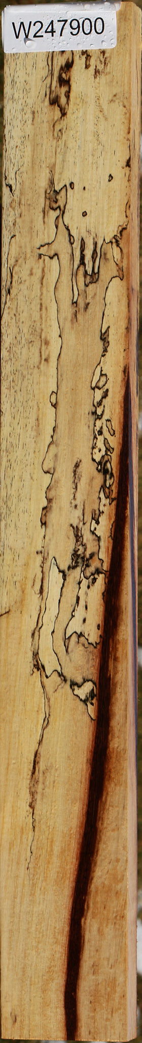 Extra Fancy Spalted Tamarind Lumber